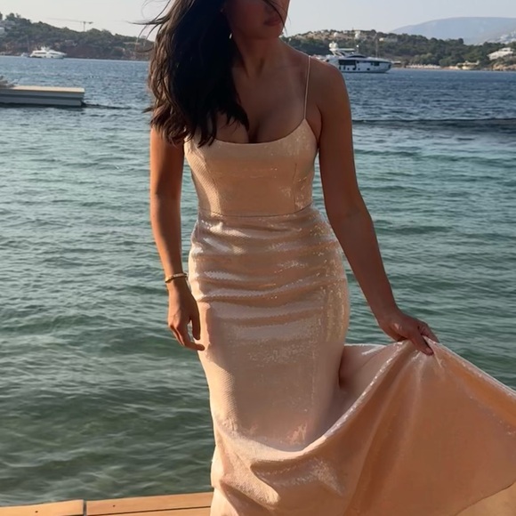 Alex Perry Gold Maxi Dress - Picture 3 of 11